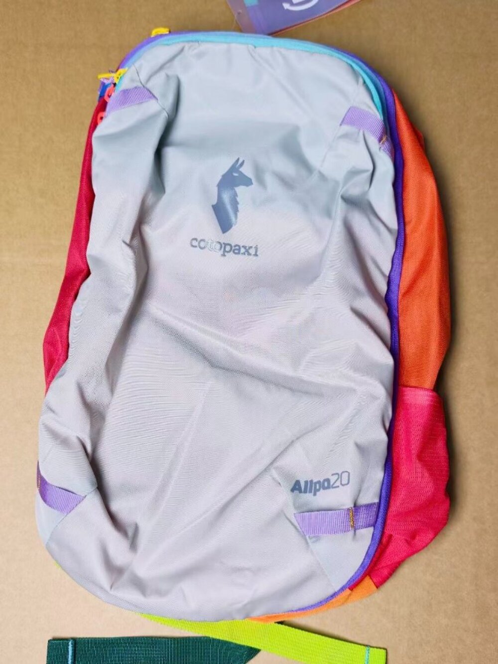 Cotopaxi Allpa 20L Gray multicolored Backpack